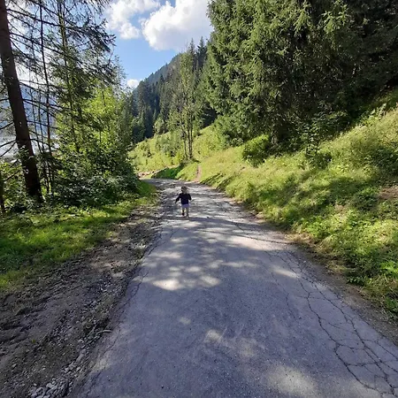 Haus Peintner Tannheim