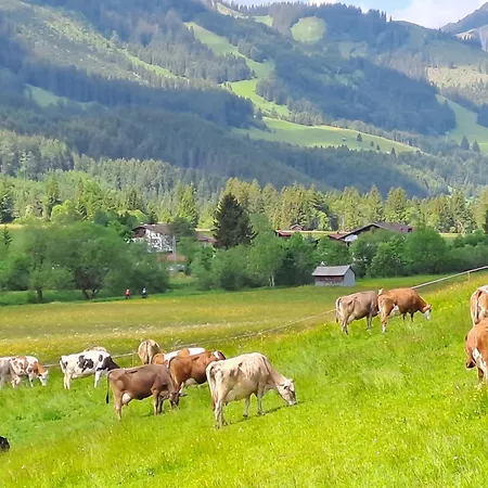 Haus Peintner *