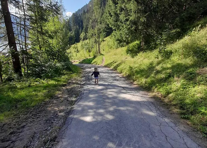 Haus Peintner タンハイム