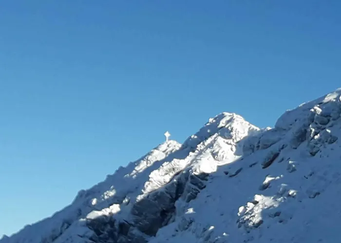 ファームステイ Haus Peintner *